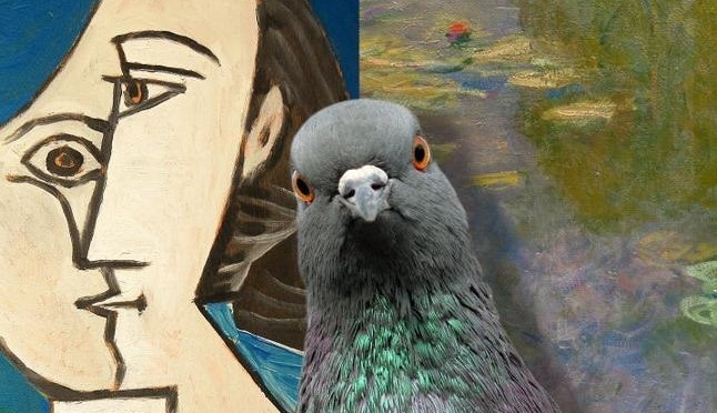 Кои птици могат да различават картините по стила на рисуване?
